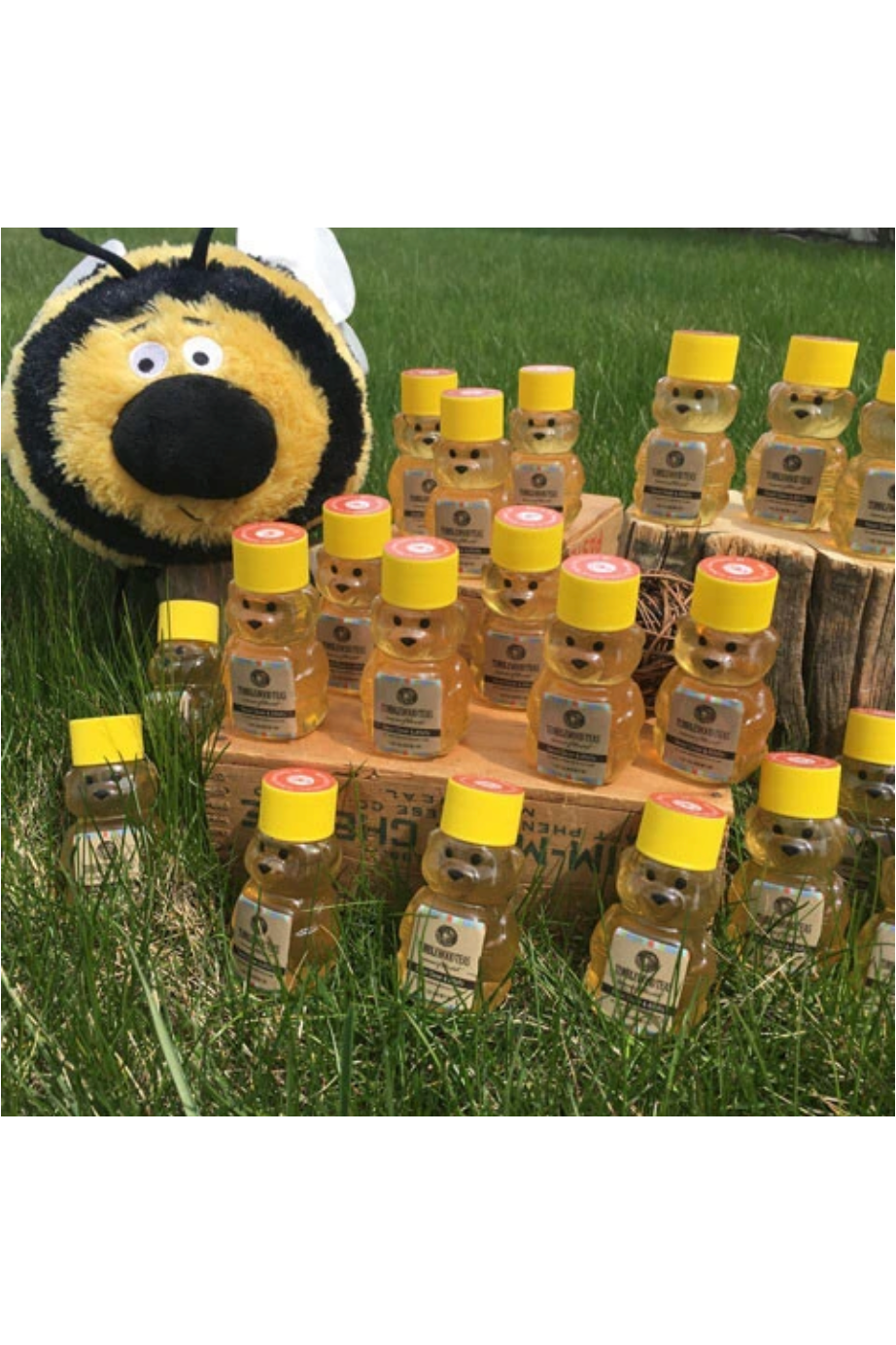 Tumblewood Teas - Bumble Bears - Sweet Clover and Alfalfa Honey